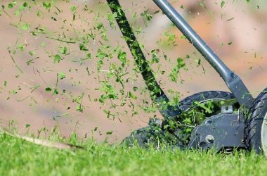 Lawn Mowers